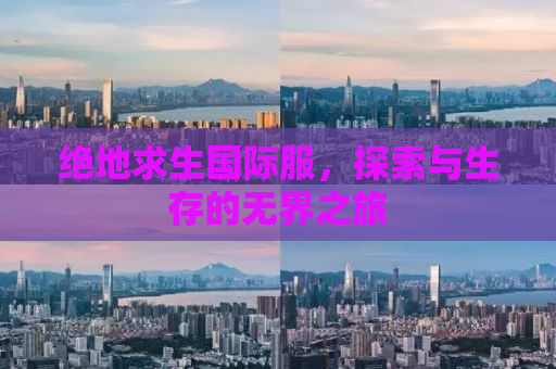 绝地求生国际服，探索与生存的无界之旅