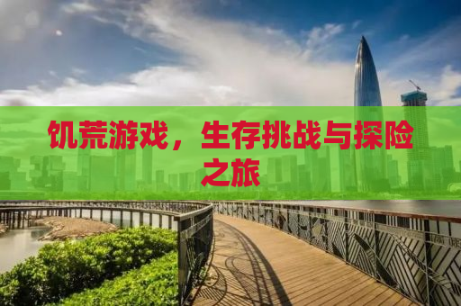 饥荒游戏，生存挑战与探险之旅