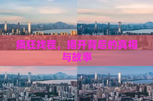 疯狂找茬，揭开背后的真相与故事